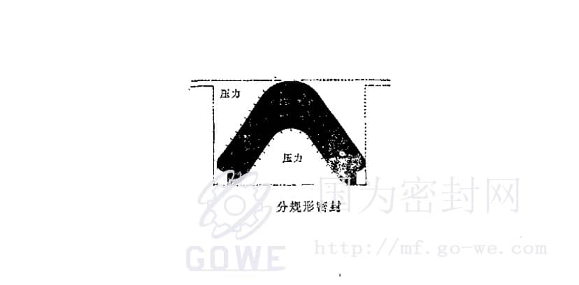 分规型密封结构图