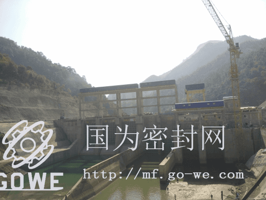 越南北弥水电站项目